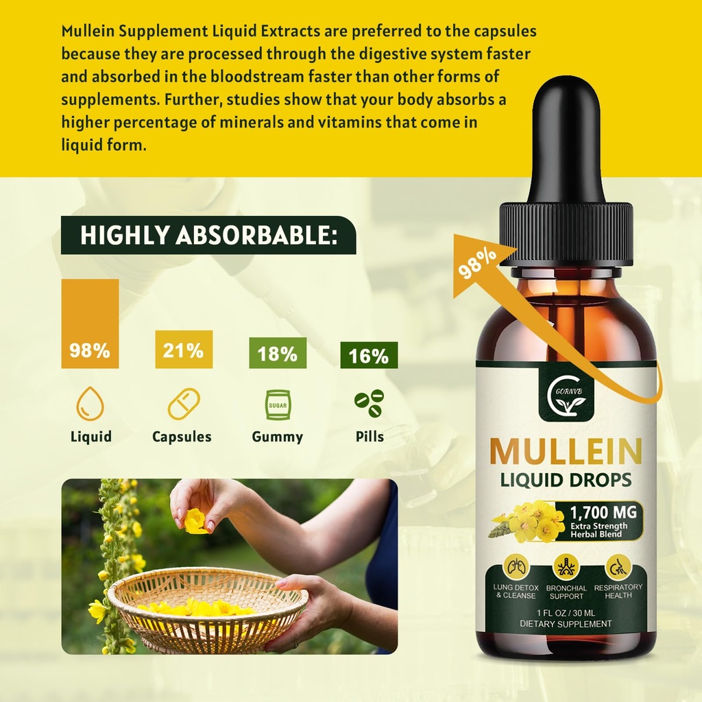 gornvb-2-pack-mullein-drops-for-lungs-lu-3.jpg