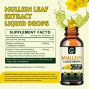 gornvb-2-pack-mullein-drops-for-lungs-lu-2.jpg