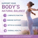 lymphatic-support-drops-liquid-lymph-dra-4.jpg