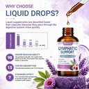 lymphatic-support-drops-liquid-lymph-dra-5.jpg