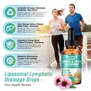 liposomal-lymphatic-drainage-drops-60ml--4.jpg