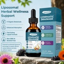 liposomal-lymphatic-drainage-drops-herba-4.jpg