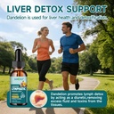 organic-lymphatic-drainage-drops-lymphat-4.jpg