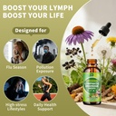 lymphatic-drainage-drops-supplement-for--6.jpg