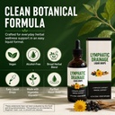 lymphatic-drainage-drops-herbal-lymphati-6.jpg