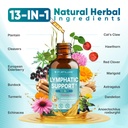 liposomal-lymphatic-drainage-drops-13-in-3.jpg