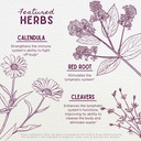 wishgarden-herbs-lymph-mover-organic-lym-4.jpg
