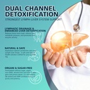 lymphatic-drainage-drops-organic-lymphat-4.jpg