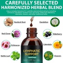 lymphatic-drainage-drops-for-lymphatic-c-4.jpg