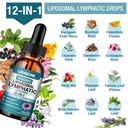 1-pack-3000mg-liposomal-lymphatic-draina-3.jpg