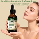 lymphatic-drainage-drops-with-elderberry-3.jpg