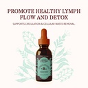herbs-etc-lymphatonic-classic-liquid-ext-2.jpg