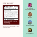 herbs-etc-lymphatonic-classic-liquid-ext-3.jpg