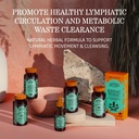 herbs-etc-lymphatonic-classic-liquid-ext-4.jpg