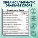 lymphatic-drainage-drops-9-in1-lymphatic-6.jpg