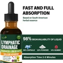 lymphatic-drainage-drops-with-echinacea--4.jpg