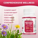 lymphatic-drainage-supplements-1860mg-ly-3.jpg