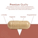 fortim-improve-testosterone-production-e-3.jpg