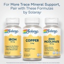 solaray-copper-2mg-chelated-copper-suppl-6.jpg