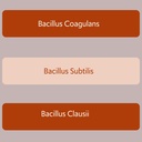 bacillus-b3-spore-based-probiotic-enzyme-3.jpg