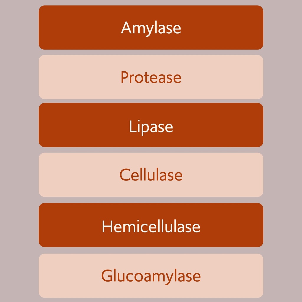 bacillus-b3-spore-based-probiotic-enzyme-5.jpg
