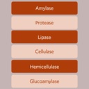 bacillus-b3-spore-based-probiotic-enzyme-5.jpg