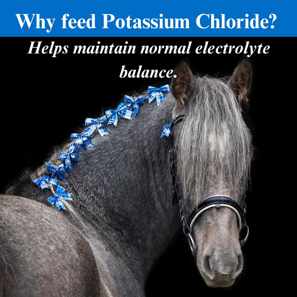 su-per-potassium-chloride-horse-electrol-4.jpg