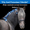 su-per-potassium-chloride-horse-electrol-4.jpg