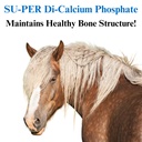 su-per-di-calcium-phosphate-horse-minera-3.jpg