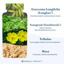 lifeseasons-masculini-t-testosterone-sup-6.jpg