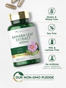 carlyle-banaba-leaf-extract-capsules-600-4.jpg