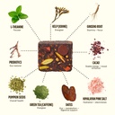 gem-energy-caffeinated-chocolate-bite-ho-5.jpg