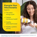 researched-nutritionals-atp-360-mitochon-2.jpg