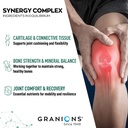granions-glucosamine-chondroitin-msm-pow-6.jpg
