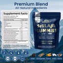 shilajit-gummies-gummy-supplements-shila-2.jpg