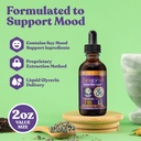 rejuvica-health-zenapin-ir-advanced-mood-2.jpg