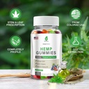 3-packs-hemp-gummies-for-pain-sleep-anxi-2.jpg