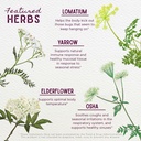 wishgarden-herbs-serious-v-fighter-liqui-4.jpg