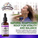 eleuthero-tincture-organic-eleuthero-ext-2.jpg