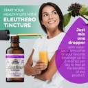 eleuthero-tincture-organic-eleuthero-ext-4.jpg