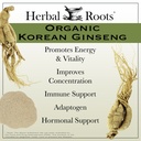 herbal-roots-panax-ginseng-organic-korea-3.jpg