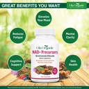 nad-supplement-nad-booster-for-cellular--3.jpg