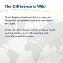 north-american-herb-spice-black-seed-oil-6.jpg
