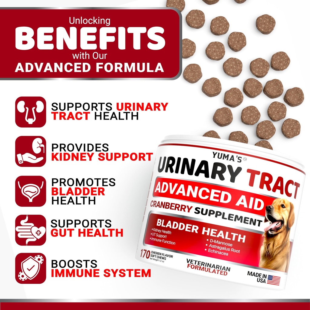 dog-uti-chews-170-treats-cranberry-suppl-2.jpg