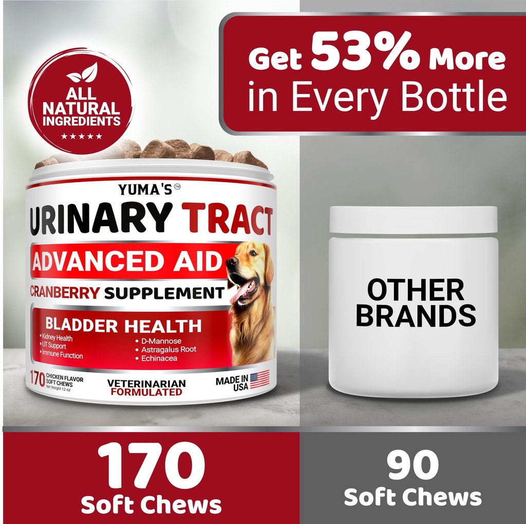 dog-uti-chews-170-treats-cranberry-suppl-5.jpg
