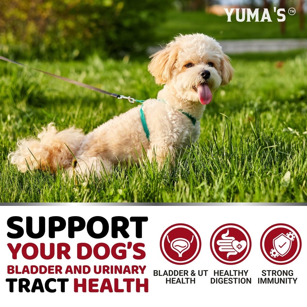 dog-uti-chews-170-treats-cranberry-suppl-4.jpg