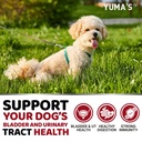 dog-uti-chews-170-treats-cranberry-suppl-4.jpg