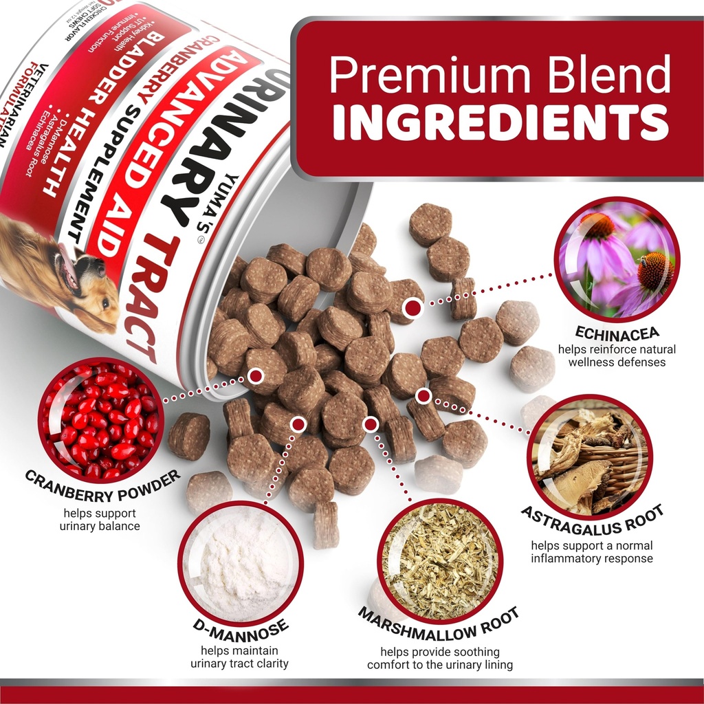 dog-uti-chews-170-treats-cranberry-suppl-3.jpg