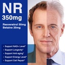 lovita-nad-supplement-840mg-nr-nicotinam-3.jpg