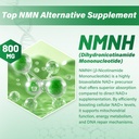 nmnh-supplement-dihydronicotinamide-mono-5.jpg